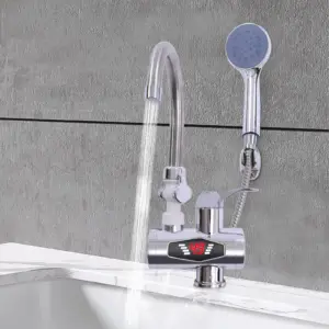 Chauffe-eau électrique 3000W avec douchette pour radiateur