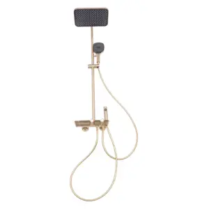 Ensemble douche thermostatique mural avec double pomme
